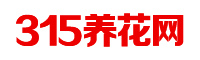 我的网站